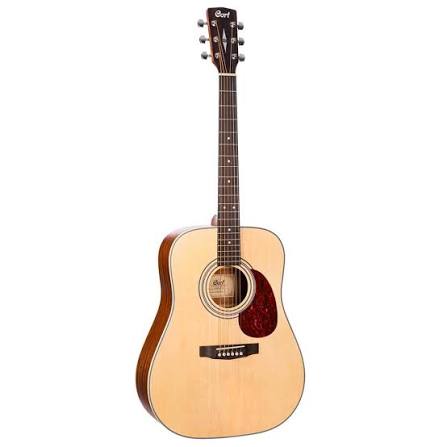Cort Earth 70